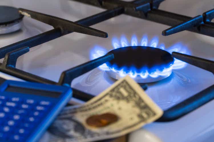 gas burner, shortage