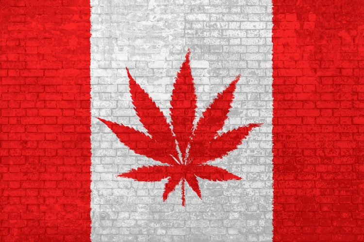 Canadian cannabis leaf flag Wall