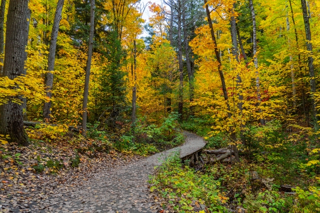 Fall colors at Lookout Trail, Algonquin Provincial Park, Ontario, Canada