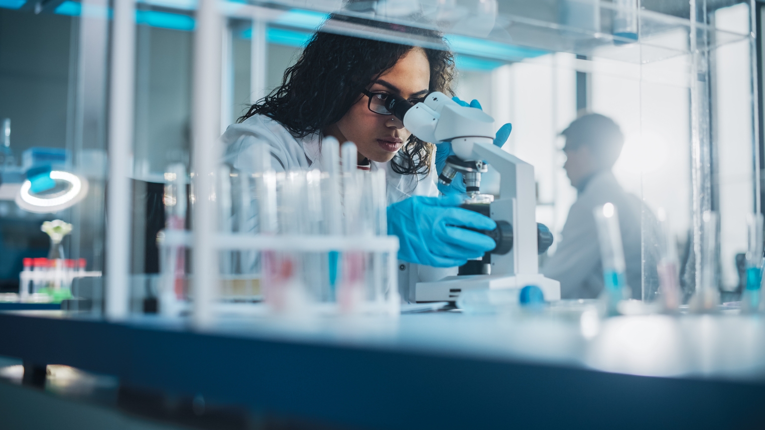 Berkeley Lights launches Rabbit Memory B Cell workflow to discover  antibodies | Seeking Alpha