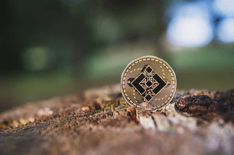 Gold Binance crypto coin on a tree outdoor, blurred background with space for text