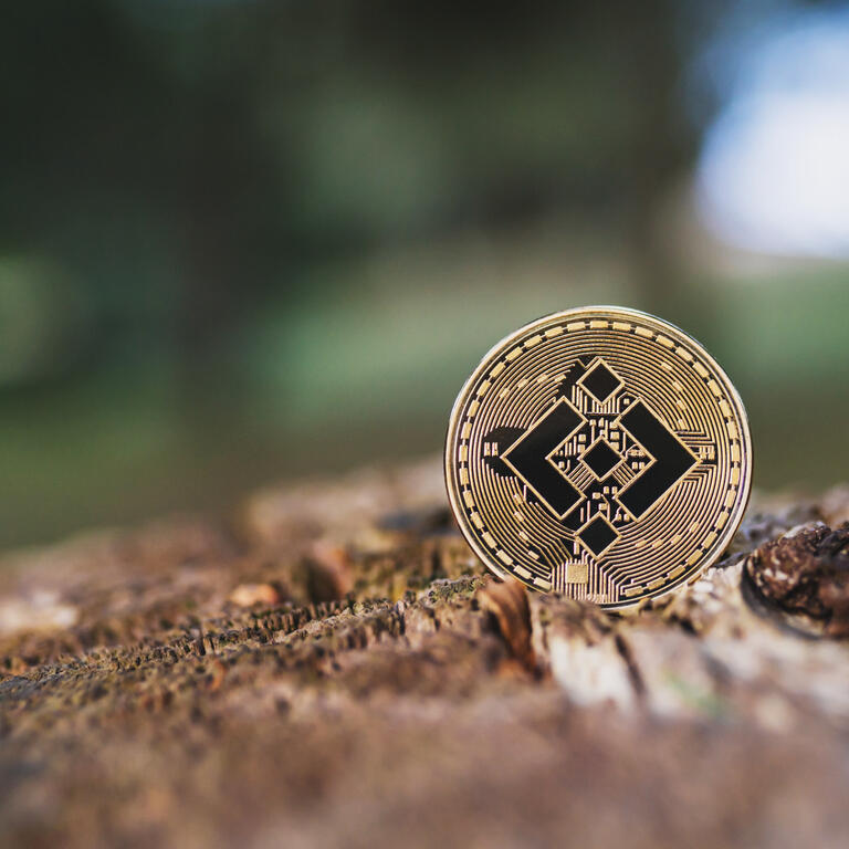 Gold Binance crypto coin on a tree outdoor, blurred background with space for text