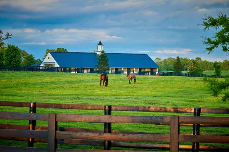 Two thoroughbred horses grazing in a field with horse barn in the background.