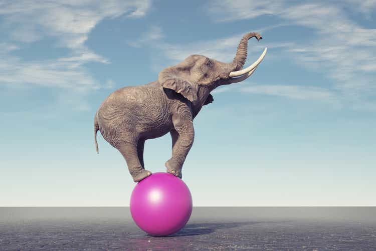 Elephant on a sphere. Happiness concept.