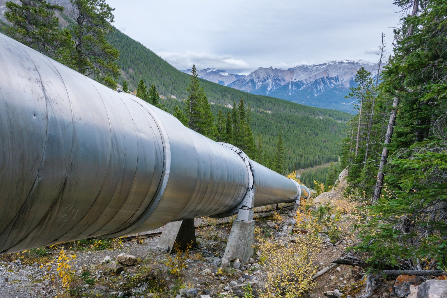 Enbridge Vs. TC Energy Vs. Pembina Pipeline: How I Rank Canada's 3 Pipeline Giants | Seeking Alpha