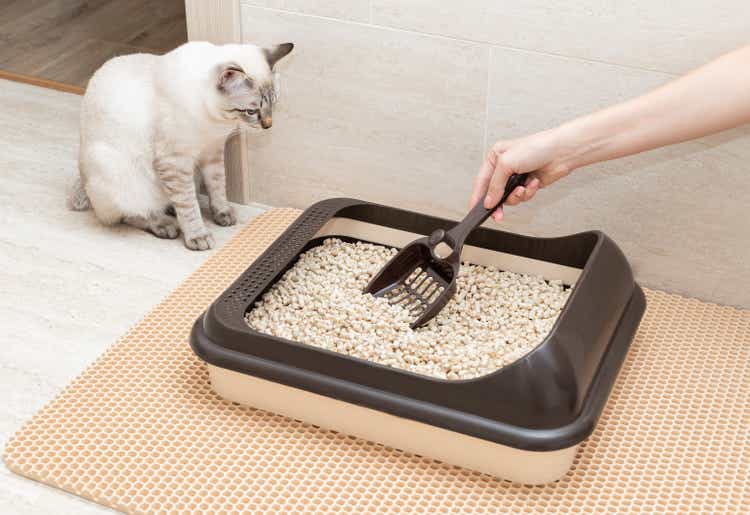 female hand cleaning cat litter box with shovel