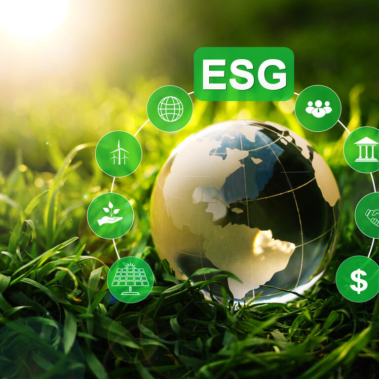 Esgv Etf