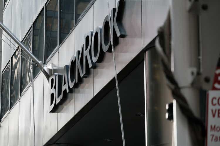 Le syndicat des travailleurs du charbon pique devant BlackRock Investors à New York
