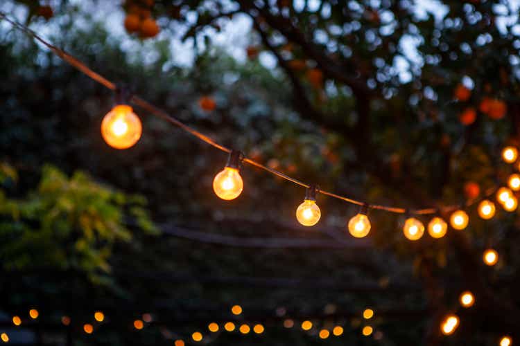 Light bulbs hanging from cable against back yard