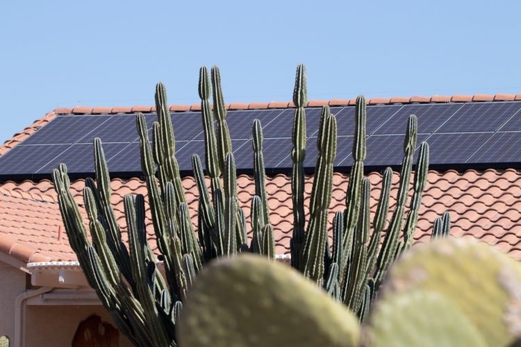 Solar panels on house tile roof behind Arizona cactus