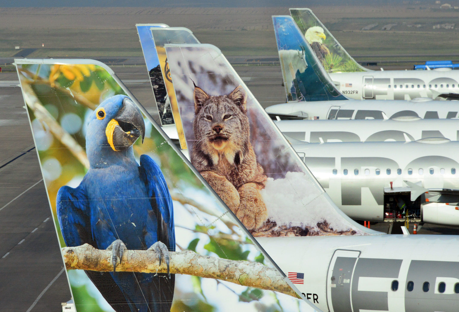 seekingalpha.com - Tim Dunn - Frontier Airlines Stock Ebbs With Industry Ups And Downs (NASDAQ:ULCC)