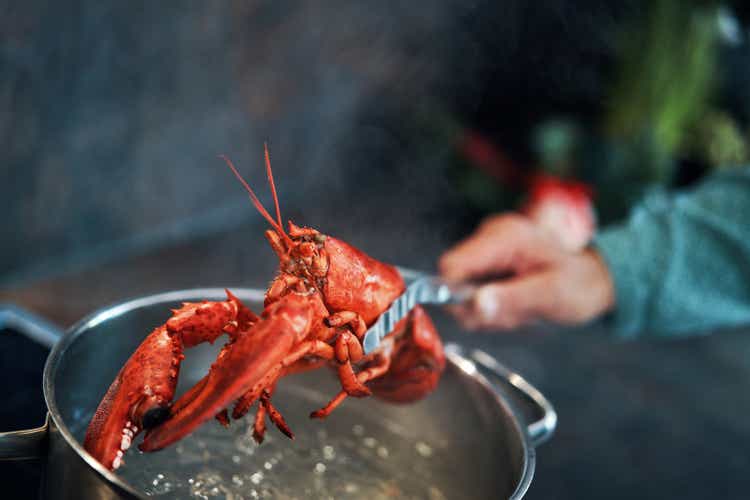 Cooking Fresh Healthy Lobster in Domestic Kitchen