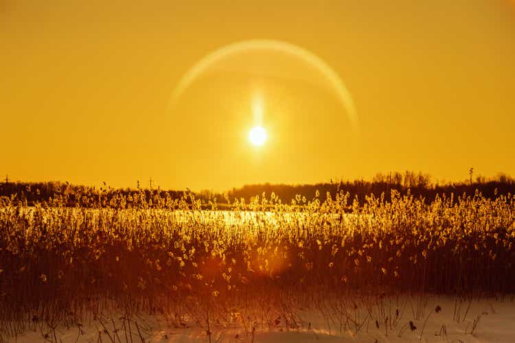 Winter sunset landscape with snow-covered field and bright glare from sun, grass covered with frost