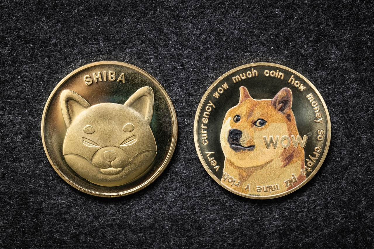 Dogecoin: Maybe Not Just A Mere Joke (DOGE-USD) | Seeking Alpha