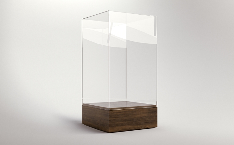 Glass Display Case