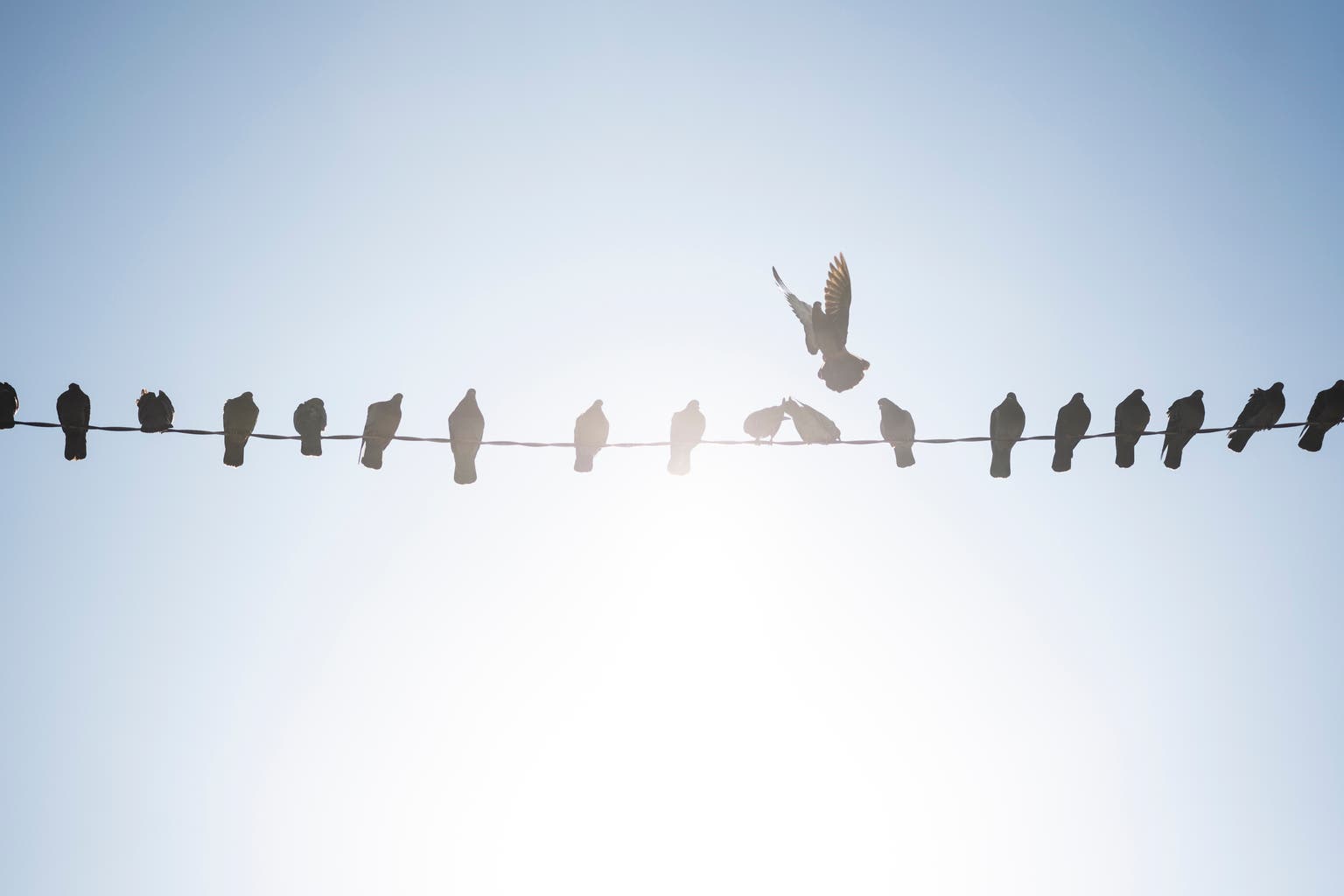 Rates Spark: Things Are Lining Up For The Doves