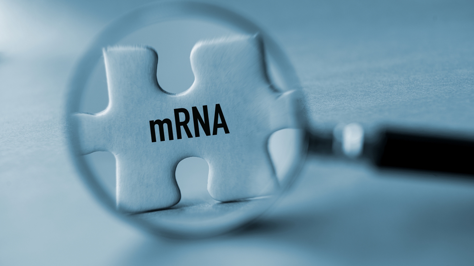 Moderna signs a deal with CytomX cancer drug developer