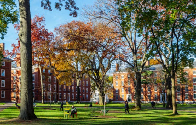 Harvard Yard of Harvard Univeristy campus - Cambridge Massachusetts