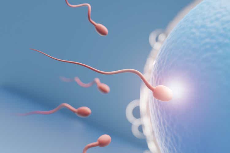 Close up of Sperm swimming towards the blue egg in a blue background. 3D Illustration Rendering.