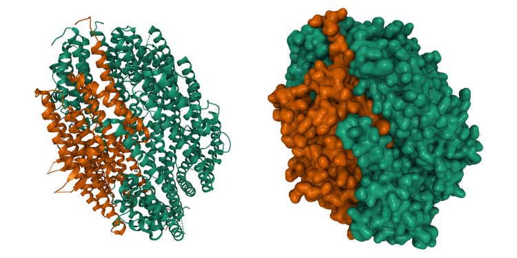 Structure of human translin (green)-TRAX (brown) complex