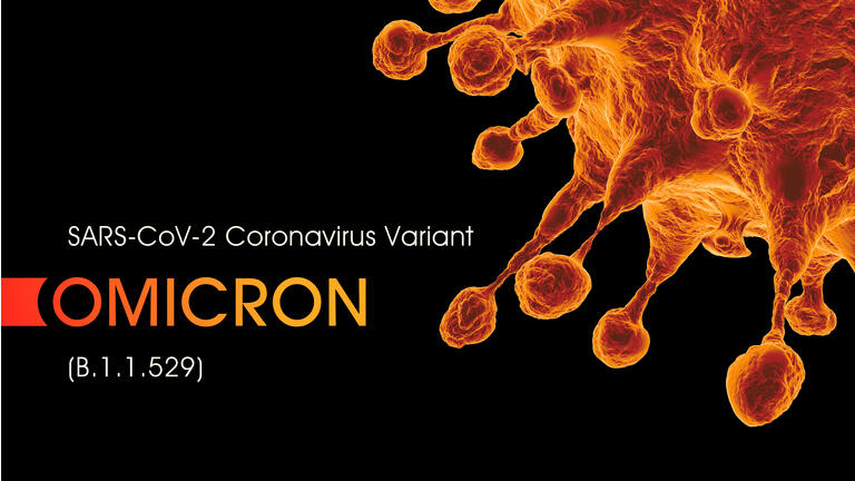 SARS-CoV-2 Coronavirus Variant Omicron B.1.1.529