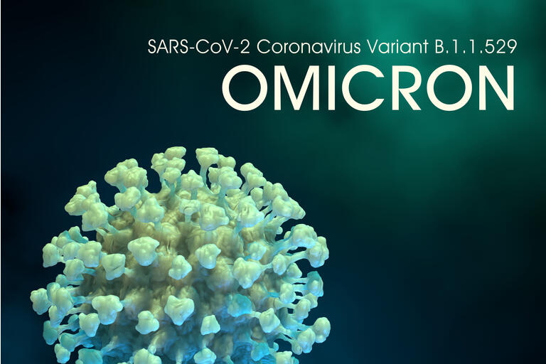 SARS-CoV-2 Coronavirus Variant Omicron B.1.1.529