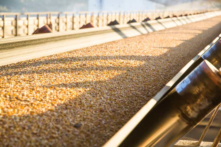 Grain, corn moves on a common conveyor belt, rollers, service area