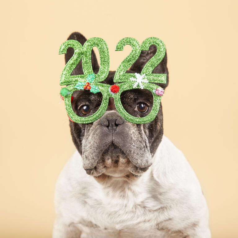 123 Best Bets For 2022 Include 88 Dividend Dogs