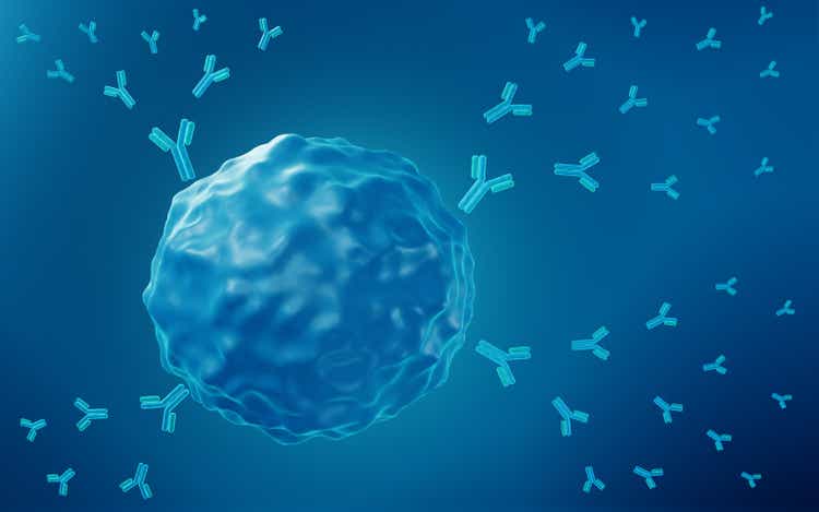 B-cell releasing antibodies