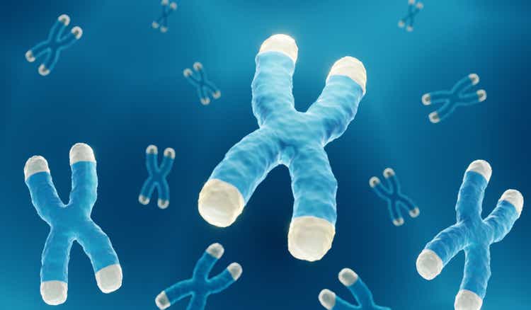 Chromosomes with highlighted telomeres