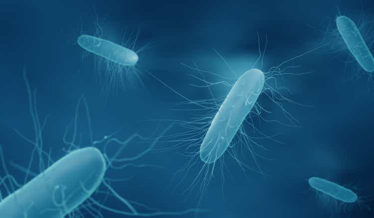 Clostridium bacteria