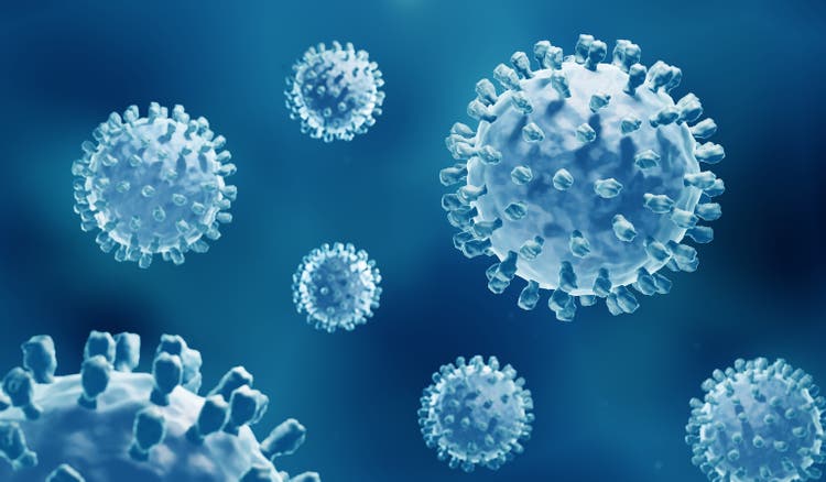 Hepatitis B virus