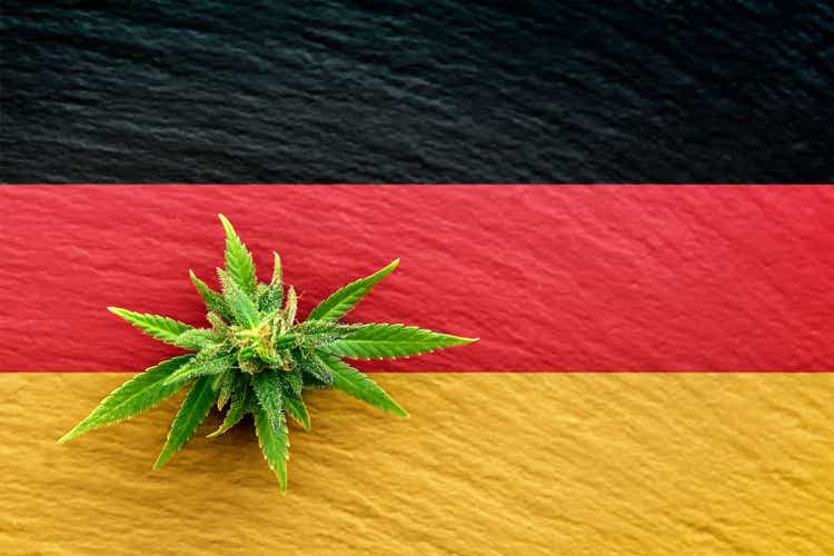 Cannabis flower with green leaves with the national flag of Germany, medical cannabis, legalization