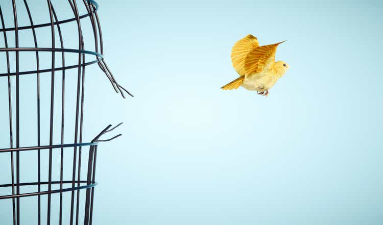 Canary escapes from bird cage. Freedom and open mind concept. This is a 3d render illustration