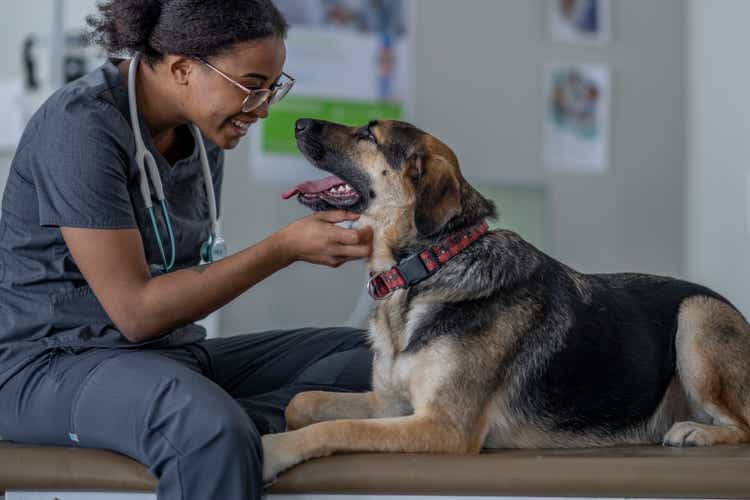 Dog at the Veterinarian