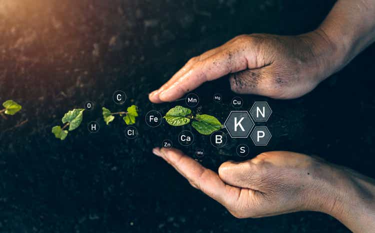 Biologic education in plant development. Role of mineral nutrients in plant life for development and growth.Factors necessary for the process of plant growth and development.Plant life cycle.