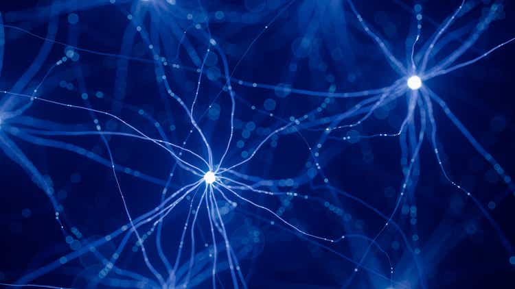 Neuron Cell Network Model