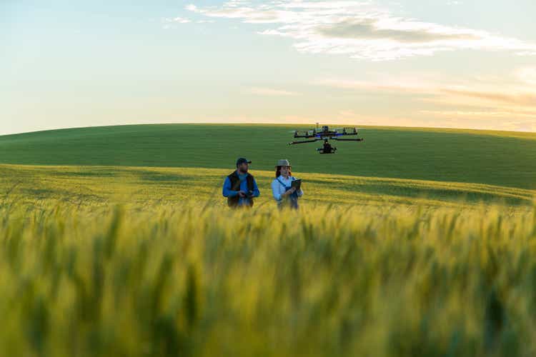 Drone no copyright fly in the wheat crop