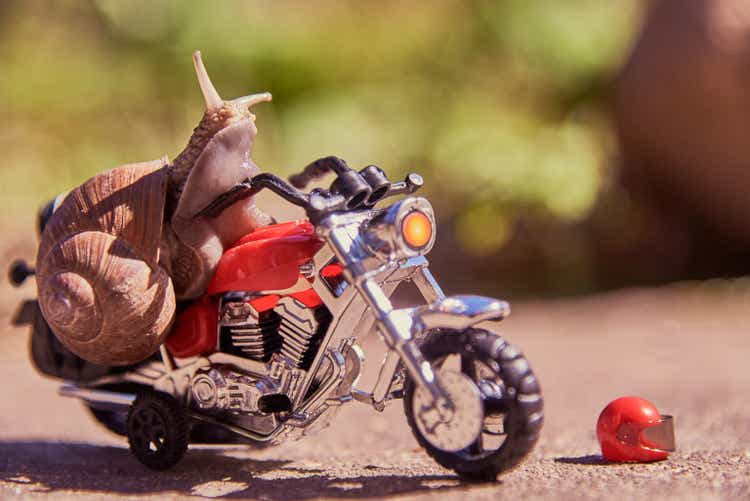 A large grape snail on a bright toy motorcycle on a blurred natural background.