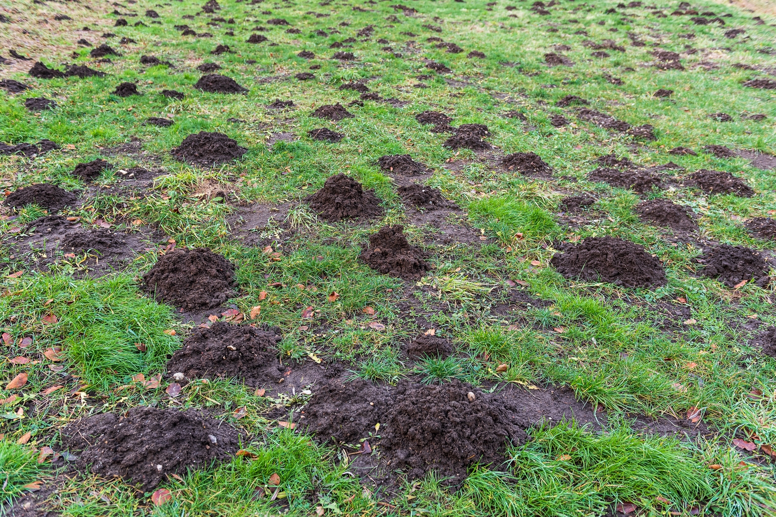 Deficits (Digging Holes) All Over The Place