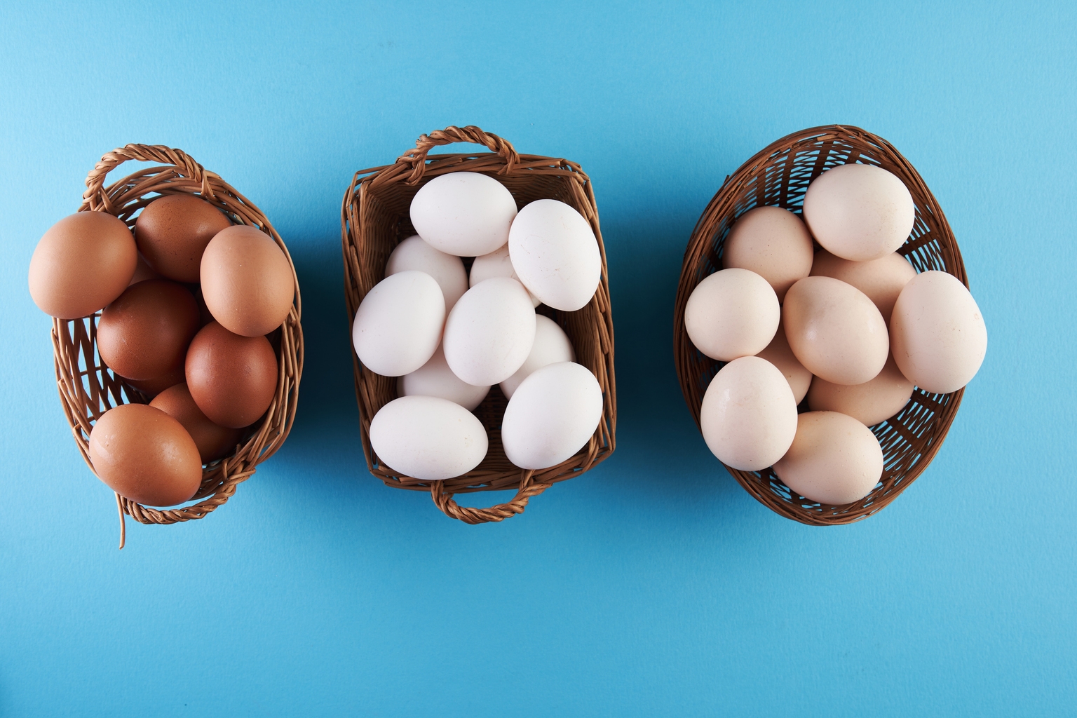 VEQT ETF: Putting All Your Eggs In One Basket (TSX:VEQT:CA)