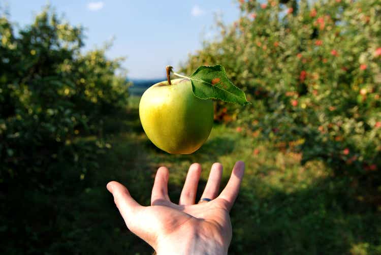 Newton"s Apple floats no gravity over hand