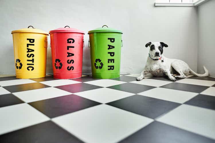 Dog sitting by color coded recycling bins in a kitchen