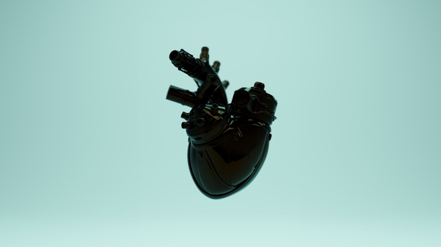 Shiny Black Artificial Heart Futuristic Cyber Bionic Anatomy Anatomical Robotic