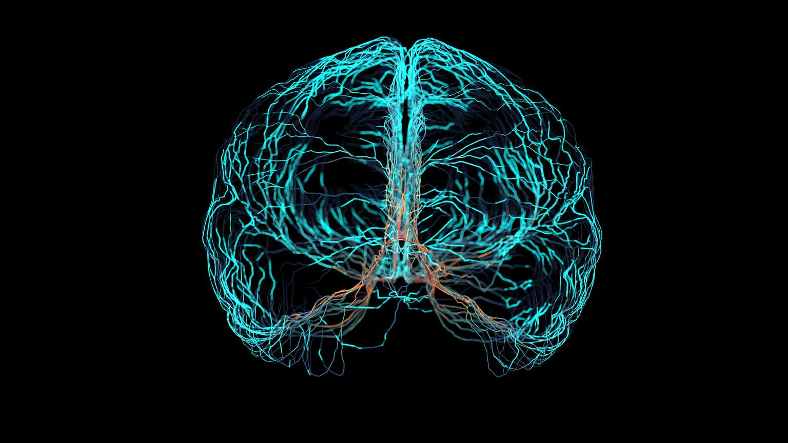 Observation Brain Test: If you have 50/50 Vision Find the Number 7 in 15  Secs - News