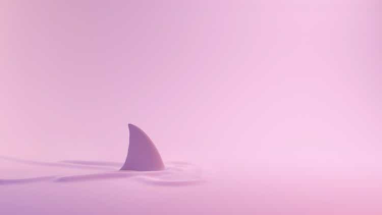 Pink Series Shark Fin above the water