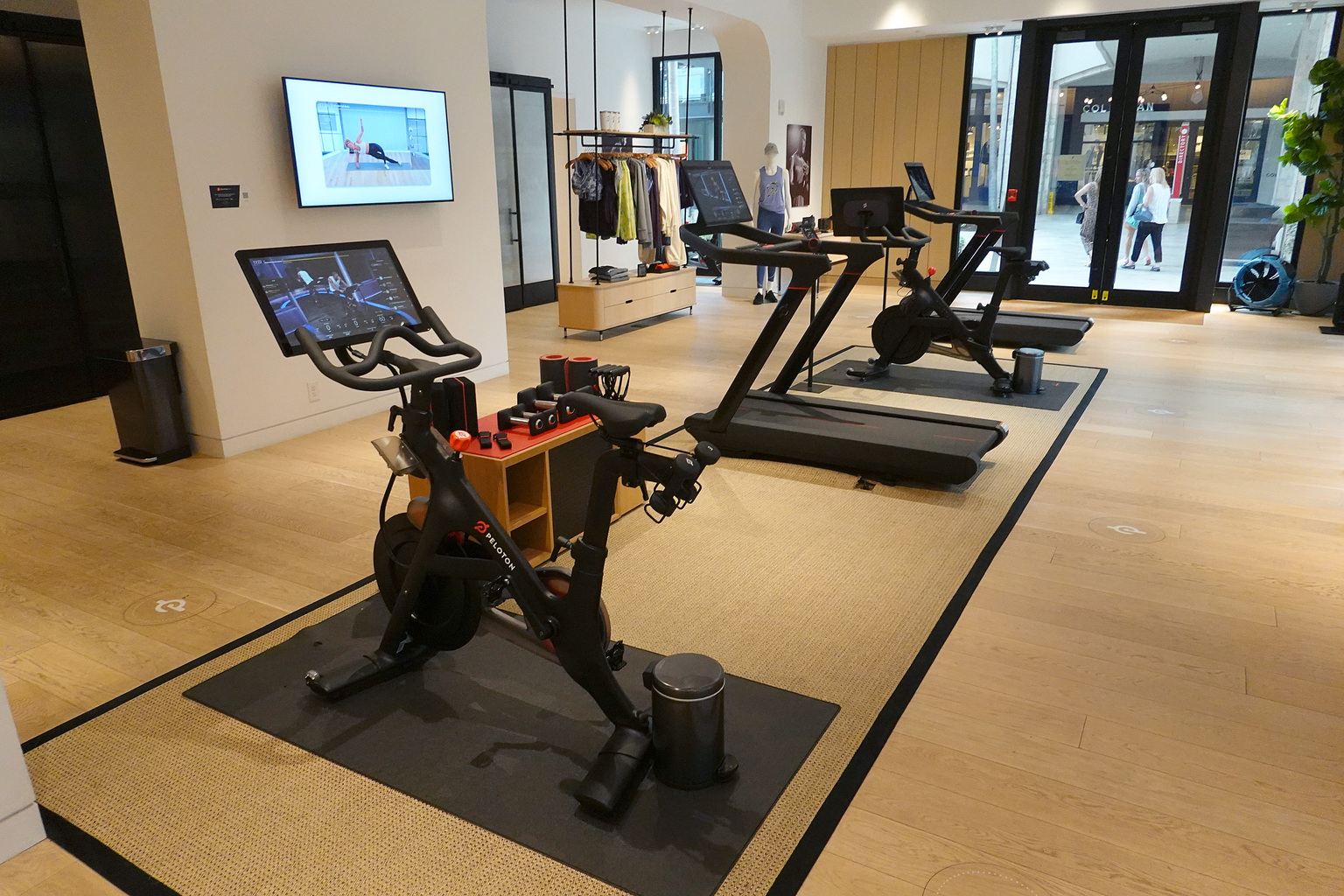 seekingalpha.com - BlackNote Investment - Peloton Vs. Technogym: Which Is The Best Fitness Stock