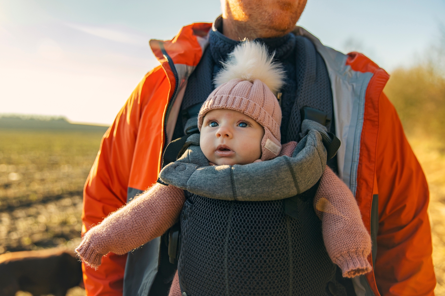 Opportunities In The Insurance Sector (Part 2): Globe Life Baby Bond (NYSE:GL.PR.D) Opportunities In The Insurance Sector (Part 2): Globe Life Baby Bond (NYSE:GL.PR.D)