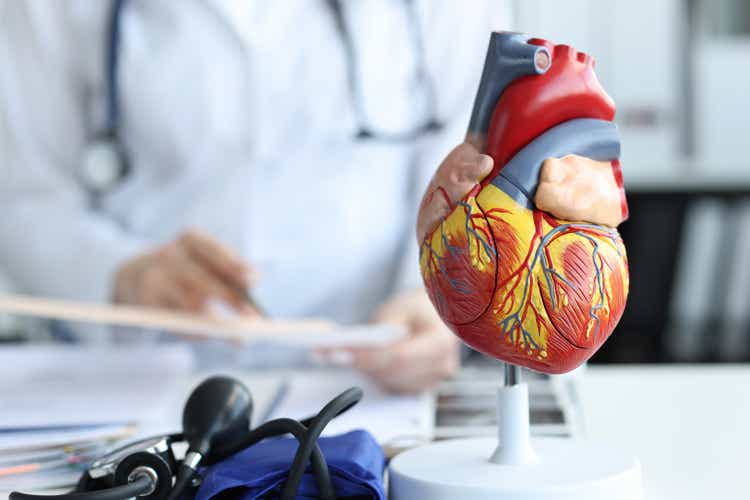 Artificial plastic model of human heart standing against background of cardiologist closeup