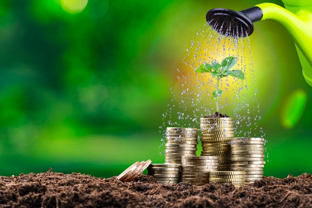 Watering plant on money stack
